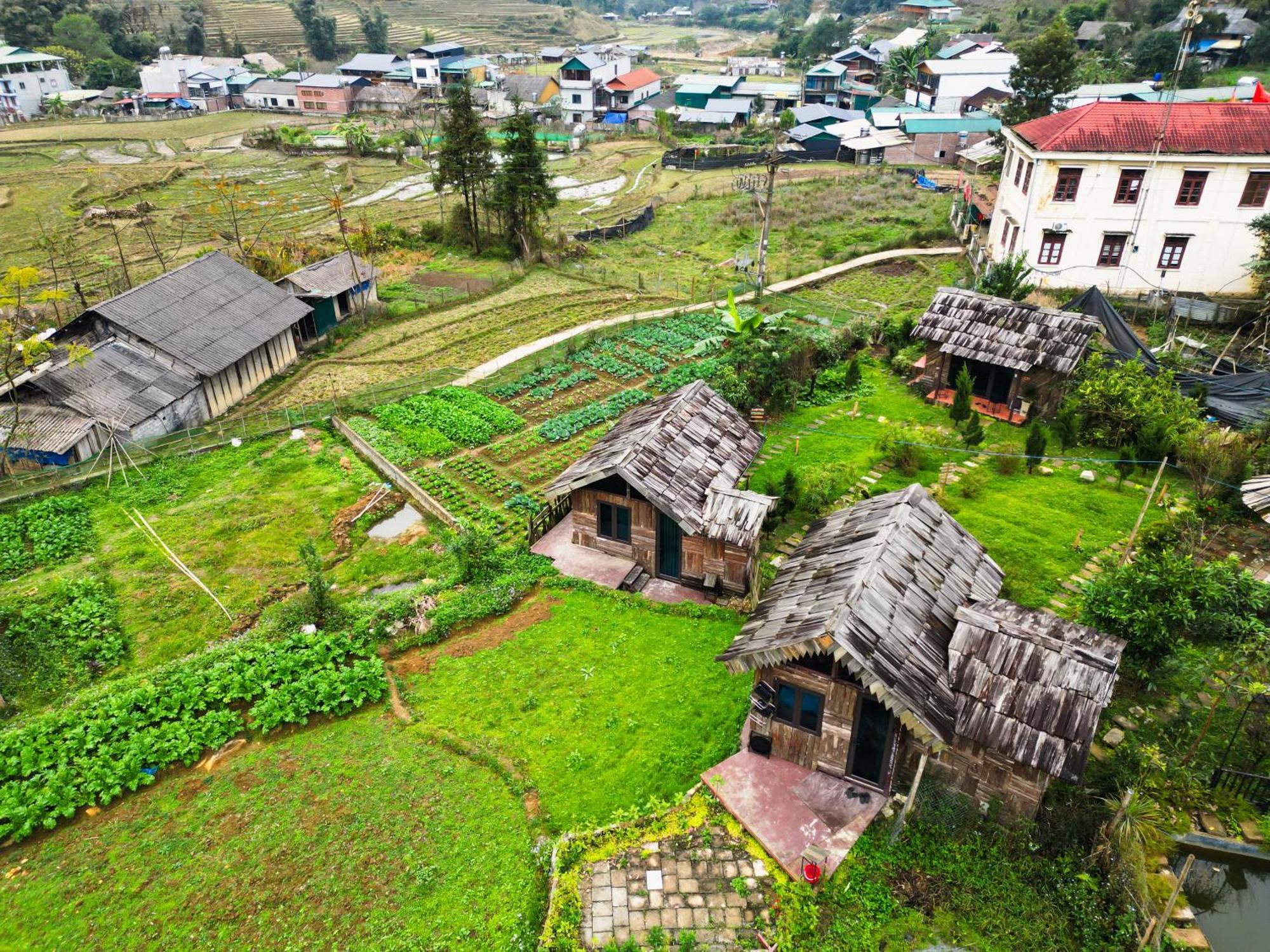 סא פה Mina Eco Home מראה חיצוני תמונה